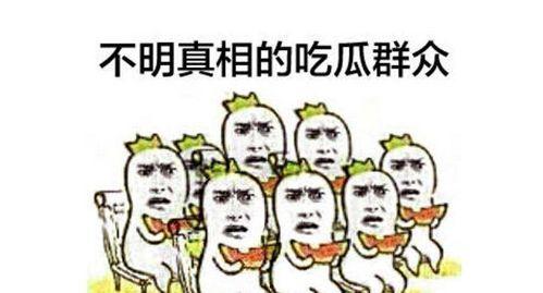 热心的朝阳群众吃瓜51,揭秘网络热点的背后故事